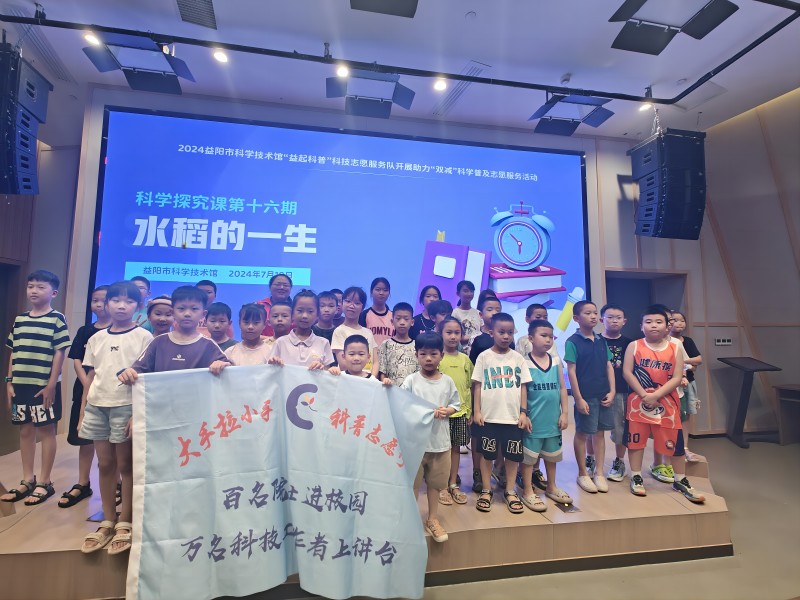 水稻的一生