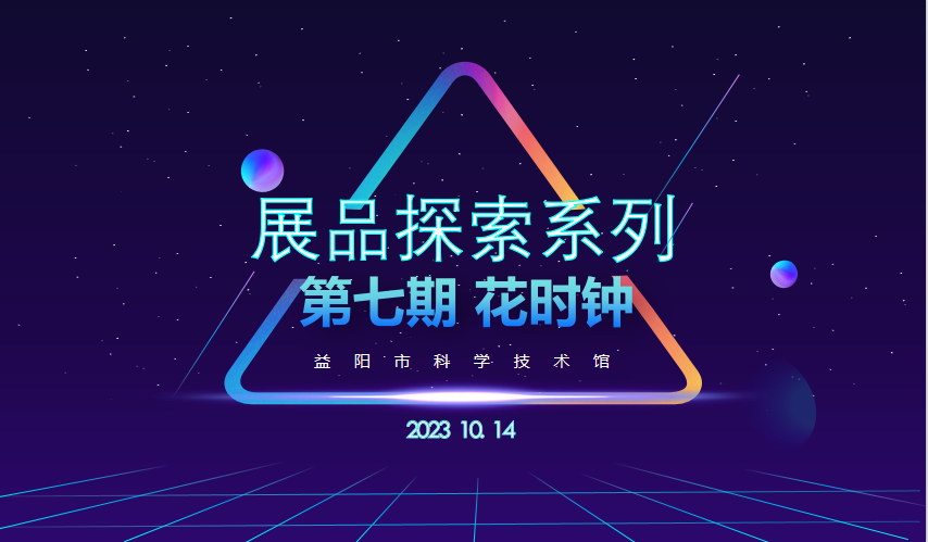展品探索系列 第七期《花时钟》