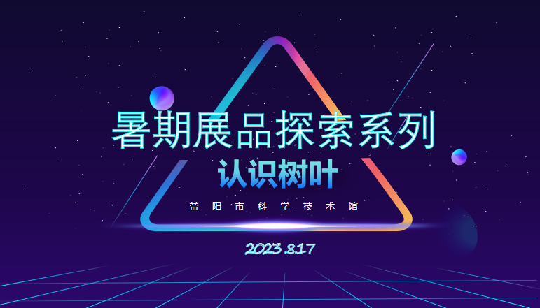暑期展品探索系列《认识树叶》