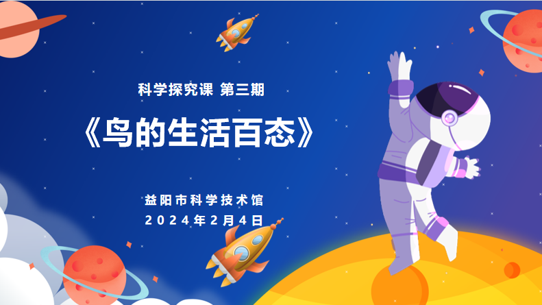 2024科学探究课第三课《鸟的生活百态》