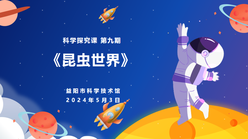 2024科学探究课第九课《昆虫世界》